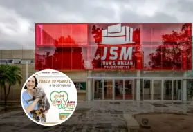 Culiacán realiza jornada de esterilización para perros y gatos: fechas y requisitos