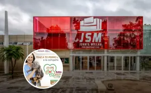 Culiacán realiza jornada de esterilización para perros y gatos: fechas y requisitos