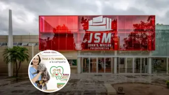 Culiacán realiza jornada de esterilización para perros y gatos: fechas y requisitos