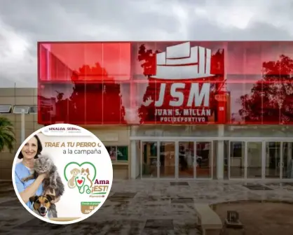 Culiacán realiza jornada de esterilización para perros y gatos: fechas y requisitos