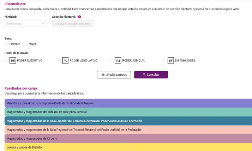 Elección Judicial 2025, Así puedes conocer a los candidatos