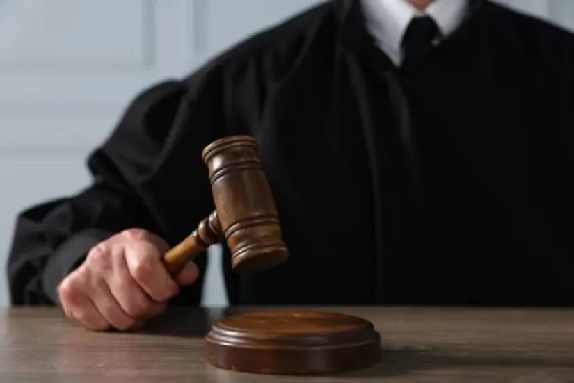 Elección Judicial 2025, Así puedes conocer a los candidatos