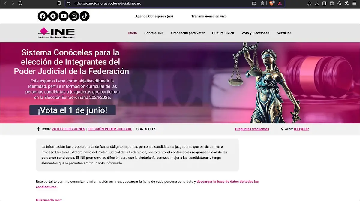 Consulta el sitio del INE para saber más información. Foto: Captura de pantalla
