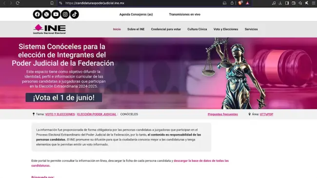 Consulta el sitio del INE para saber más información. Foto: Captura de pantalla
