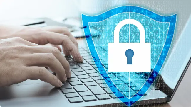 Conoce las medidas de seguridad que recomienda la SSPC. Foto: cortesía