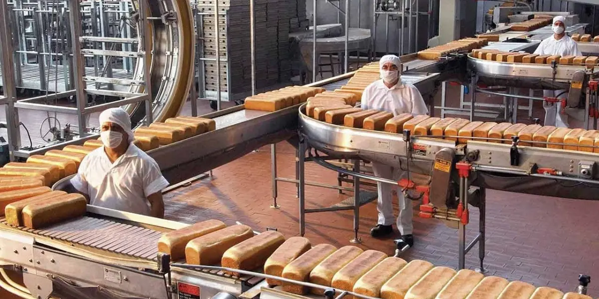 Las ganancias fueron un 10.8% mayores con respecto al mismo periodo del año anterior. Foto: Cortesía