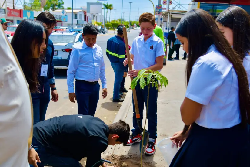 Reforestación de la zona Centro de la ciudad Guamúchil