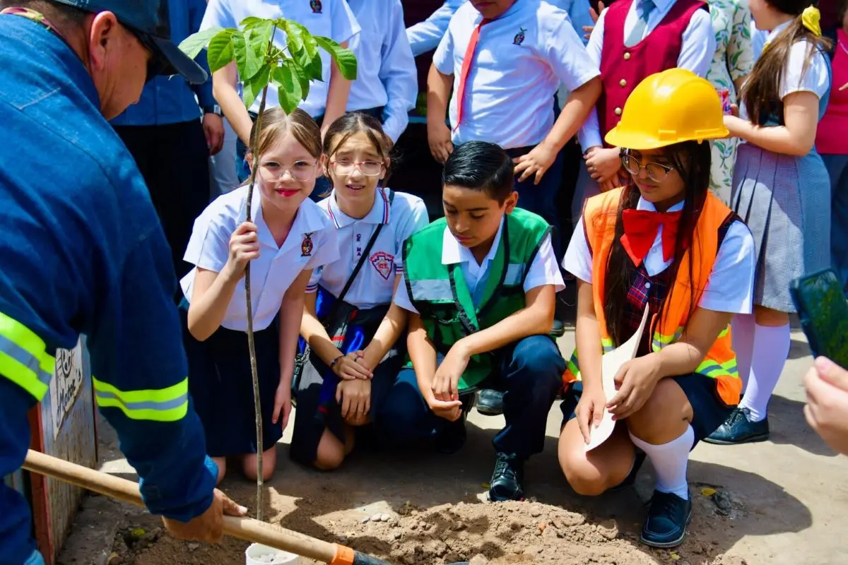 Plantan árboles en el Centro de Guamúchil. Foto: Cortesía