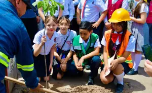 Inicia reforestación de la zona Centro de la ciudad Guamúchil