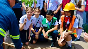 Inicia reforestación de la zona Centro de la ciudad Guamúchil