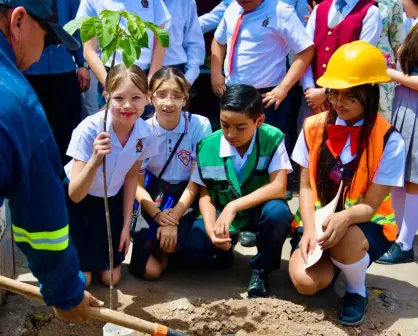 Inicia reforestación de la zona Centro de la ciudad Guamúchil