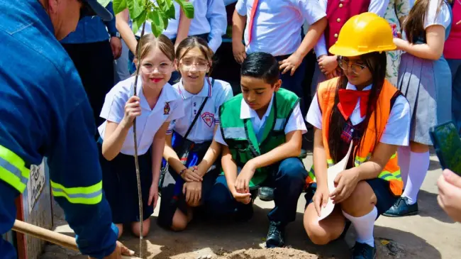 Plantan árboles en el Centro de Guamúchil. Foto: Cortesía