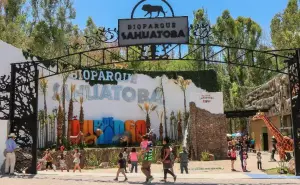 Conoce al nuevo integrante del Zoológico de Sahuatoba en Durango