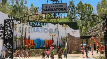 Conoce al nuevo integrante del Zoológico de Sahuatoba en Durango