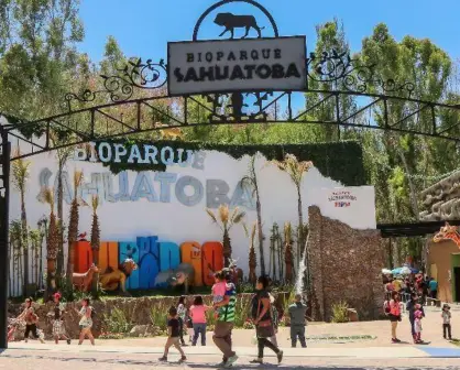 Conoce al nuevo integrante del Zoológico de Sahuatoba en Durango