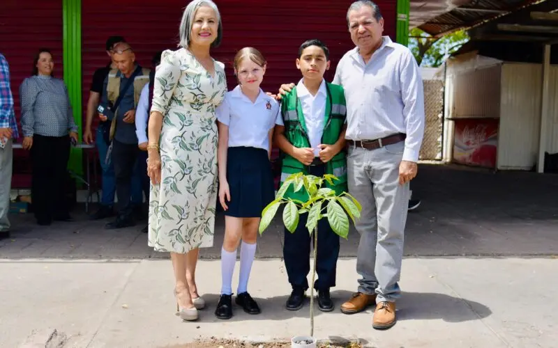 Plantan arboles en el Centro de Guamúchil