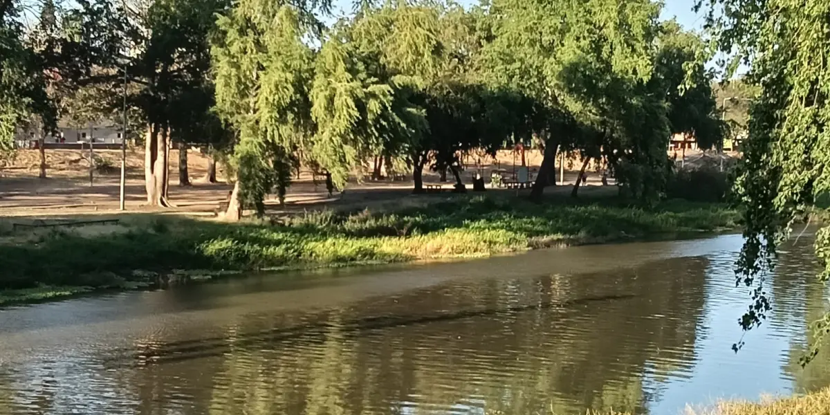 El margen izquierdo del parque Las Riberas ofrece una pausa, una especie de respiro natural que muchos consideran un verdadero tesoro urbano.