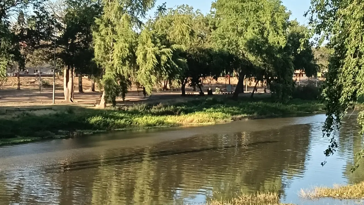 El margen izquierdo del parque Las Riberas ofrece una pausa, una especie de respiro natural que muchos consideran un verdadero tesoro urbano.