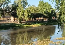 El margen izquierdo del río Tamazula en Las Riberas es un rinconcito de paz en el Centro de Culiacán