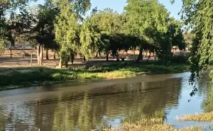 El margen izquierdo del río Tamazula en Las Riberas es un rinconcito de paz en el Centro de Culiacán