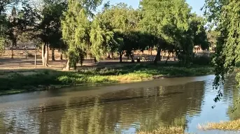 El margen izquierdo del río Tamazula en Las Riberas es un rinconcito de paz en el Centro de Culiacán