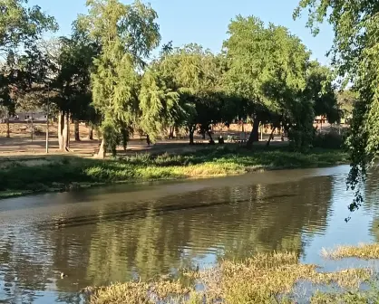 El margen izquierdo del río Tamazula en Las Riberas es un rinconcito de paz en el Centro de Culiacán