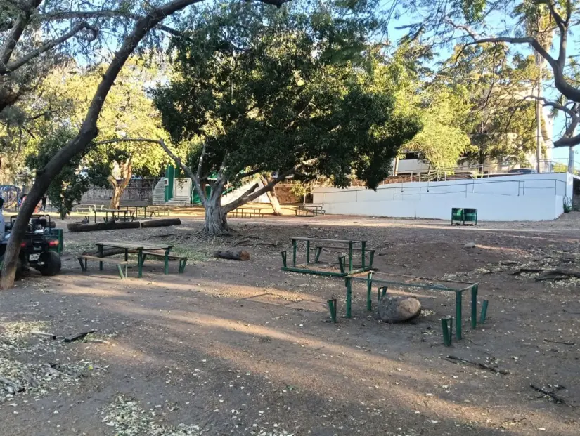 En este espacio se encuentra una gran variedad de flora y fauna.
