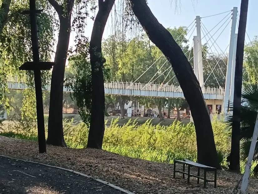 En el margen izquierdo del río Tamazula en Las Riberas existe un paisaje diferente en Culiacán.