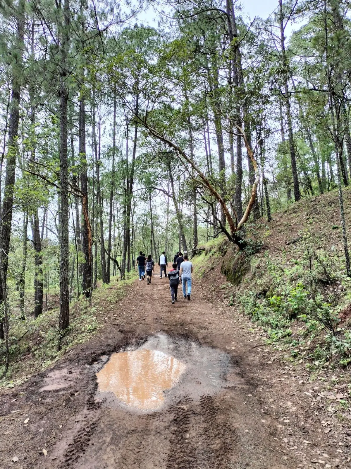 Senderismo en la sierra de Surutato. Foto César Gil