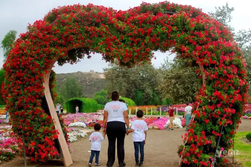 No te pierdas la oportunidad de vivir un momento agradable con los que más quieres. Foto: Cortesía.