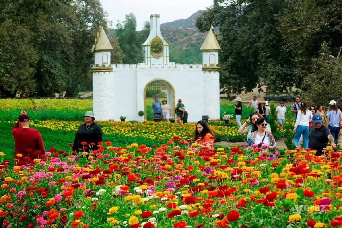 Conoce La Ruta del Maíz, un destino que enamora por la belleza de sus jardines. Foto: Cortesía.