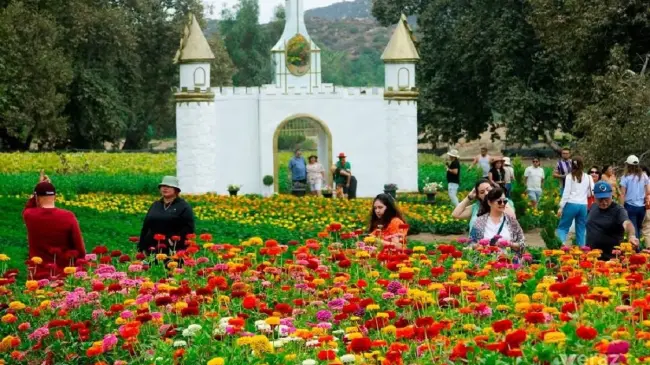Conoce La Ruta del Maíz, un destino que enamora por la belleza de sus jardines. Foto: Cortesía.