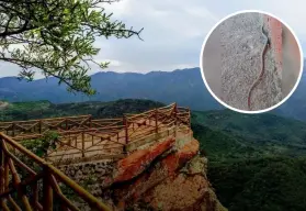Encuentran en Surutato Badiraguato lagartijas cola de serpiente, nuevo atractivo turístico