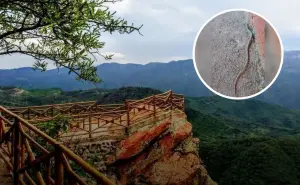 Encuentran en Surutato Badiraguato lagartijas cola de serpiente, nuevo atractivo turístico