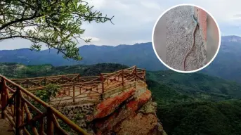 Encuentran en Surutato Badiraguato lagartijas cola de serpiente, nuevo atractivo turístico