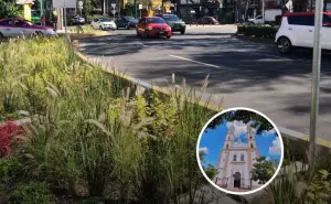 Jardines de lluvia para las ciudades