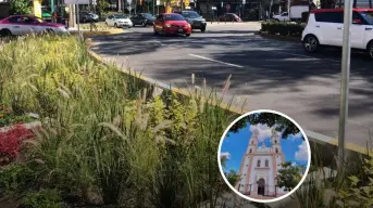 Jardines de lluvia para las ciudades
