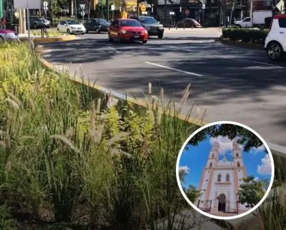 Jardines de lluvia para las ciudades