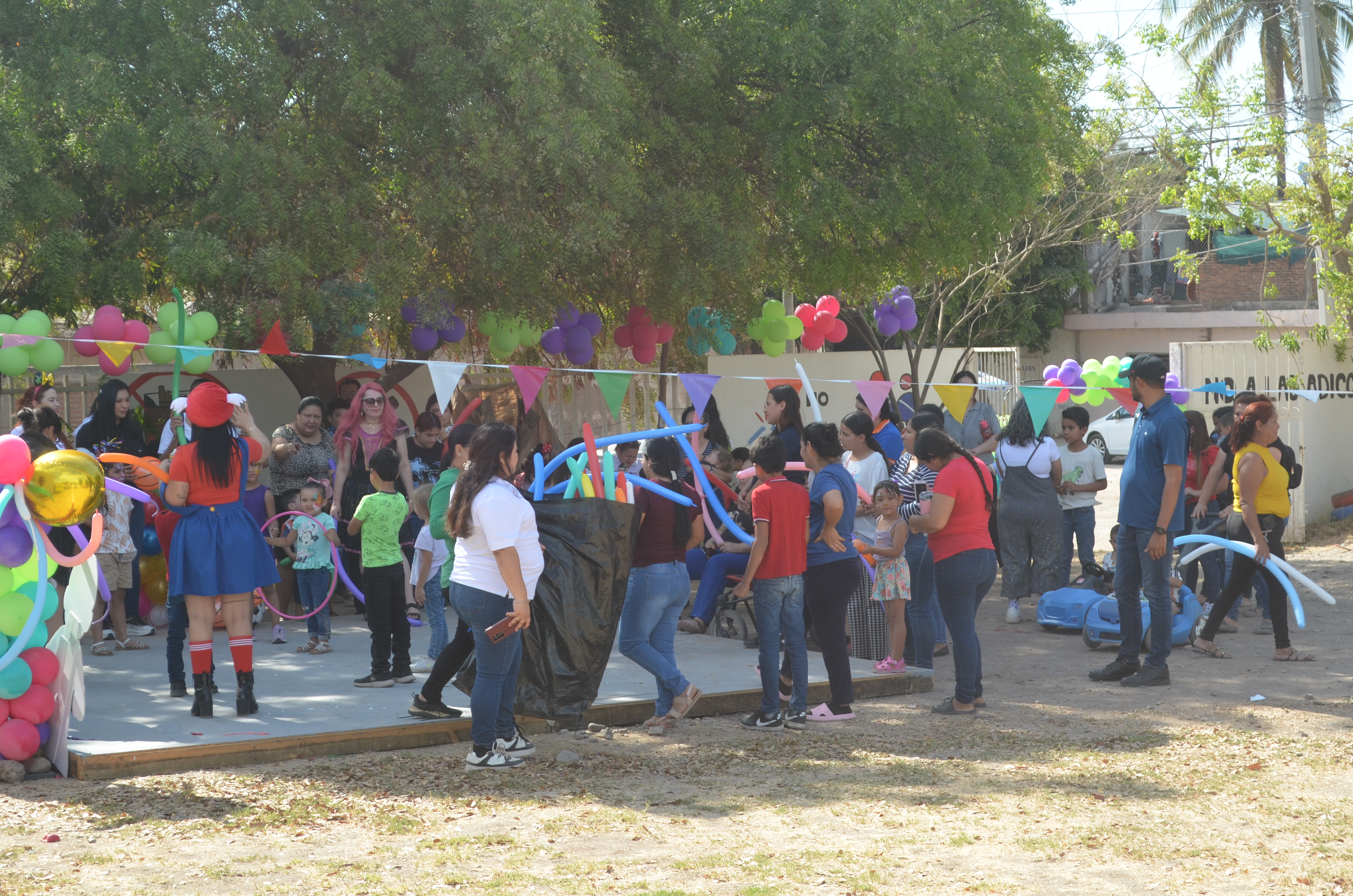 Imagen 26