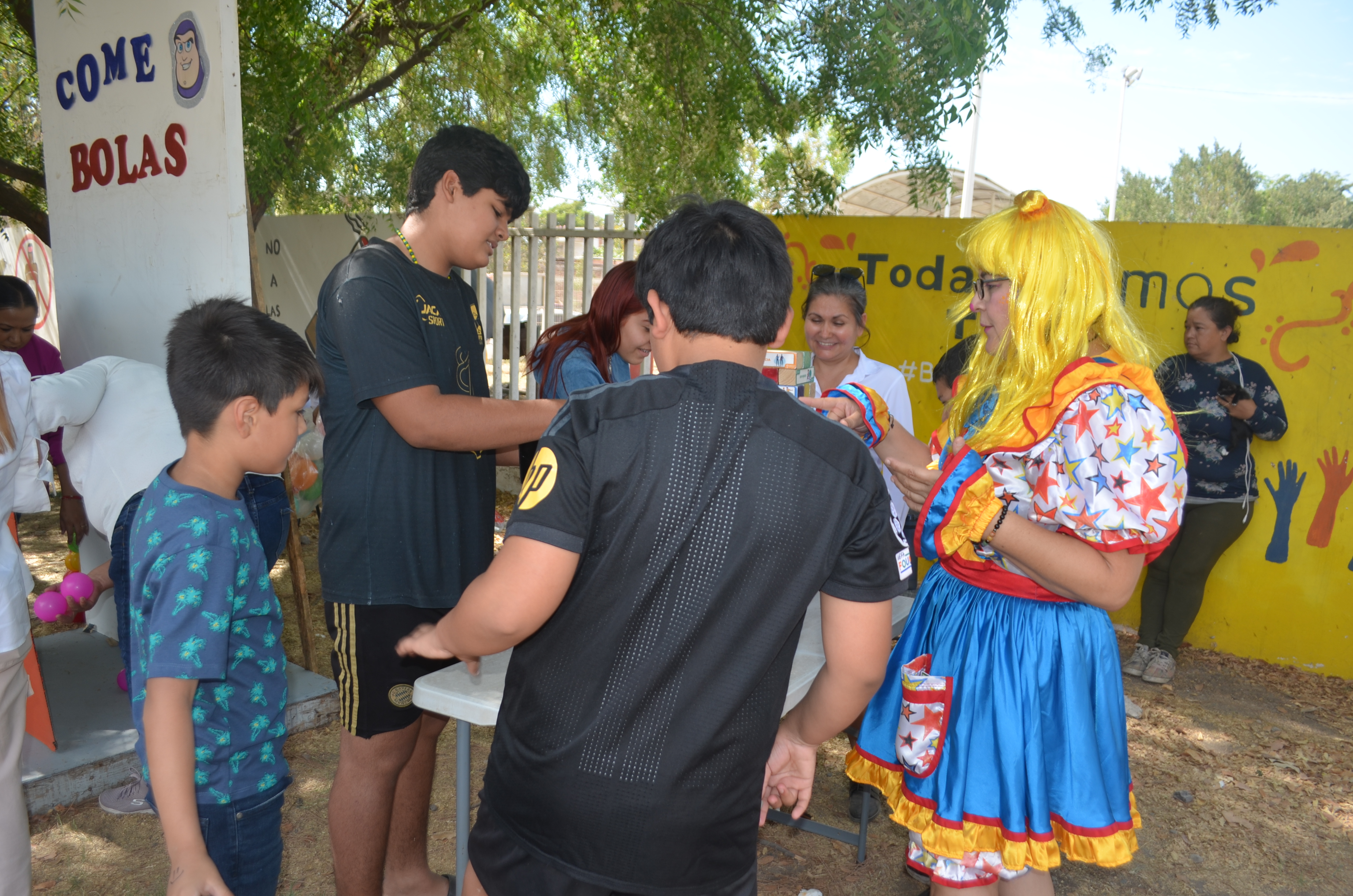 Imagen 6