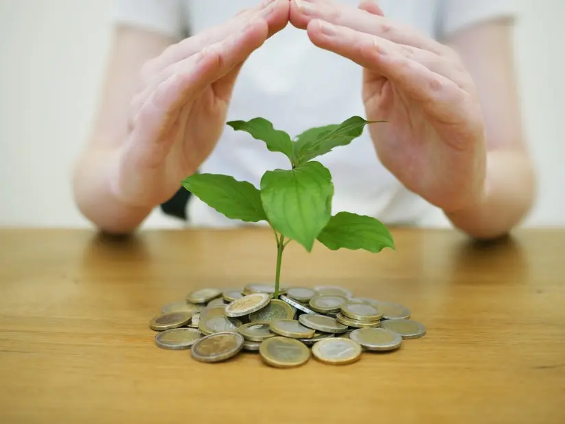 Importancia del ahorro. Imagen: Pixabay