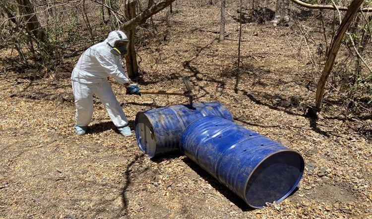 Resultados contundentes contra el crimen: Sinaloa desmantela laboratorios, campamentos y redes armadas