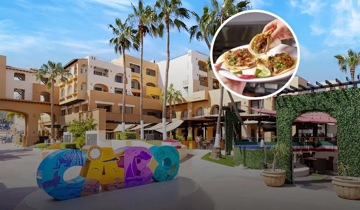 Estos son los mejores restaurantes económicos en Cabo San Lucas. Foto: Freepik.