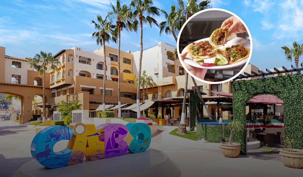 Estos son los mejores restaurantes económicos en Cabo San Lucas. Foto: Freepik.