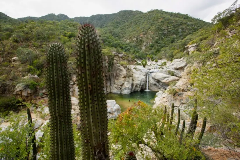 Atrévete a vivir una aventura dentro del Cañón de la Zorra en Baja California Sur. Foto: México desconocido.