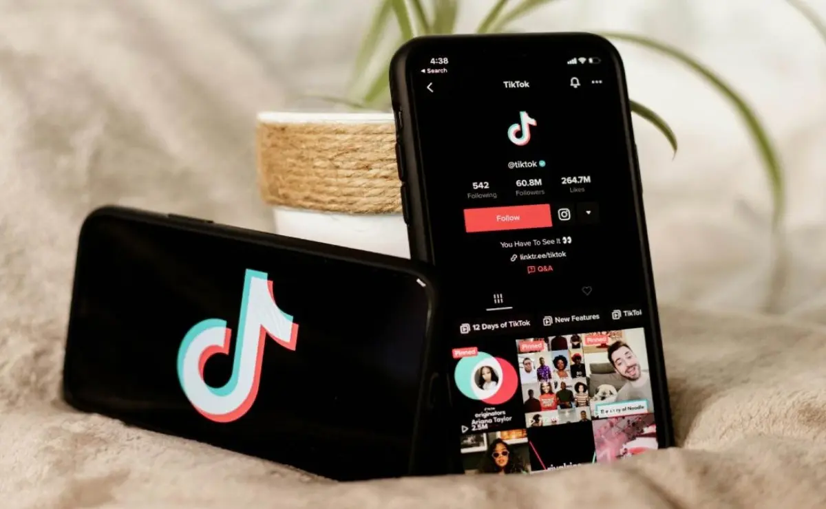 TikTok lanzó la convocatoria para emprendedores con pequeñas y medianas empresas. Imagen: TikTok