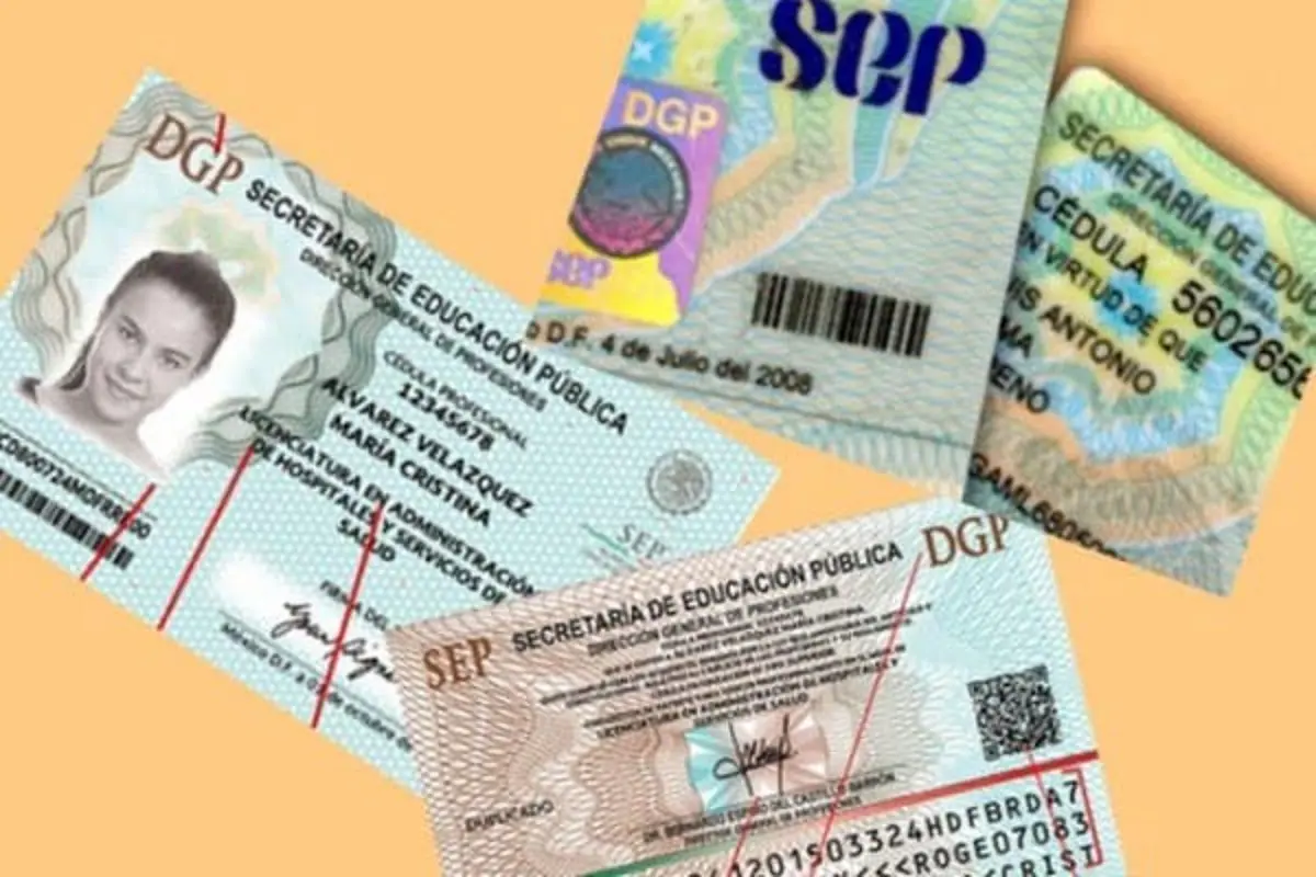 Cédula profesional 2025: estrena plataforma SEP y evita filas engorrosas