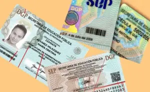 Cédula profesional 2025: estrena plataforma SEP y evita filas engorrosas