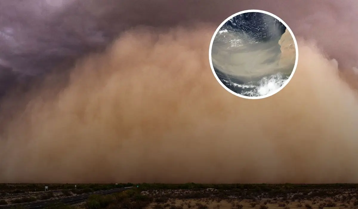 Polvo de Sahara un fénomeno que llegará a México Foto: Secretaria de Gobierno