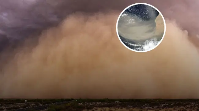 Polvo de Sahara un fénomeno que llegará a México Foto: Secretaria de Gobierno